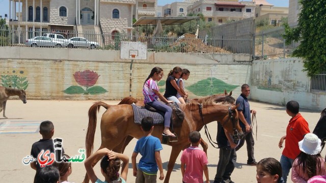 كفرقاسم - فيديو  : تعليم هواية ركوب الخيل في مدرسة جنة ابن رشد في اليوم الرابع لصيف الصادقة 